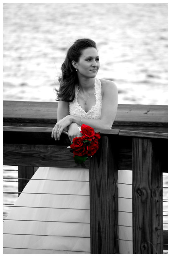 Wedding Photography - Charleston, SC Wedding Photography - Charleston, SC