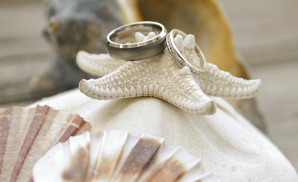 Wedding Photography - Charleston, SC